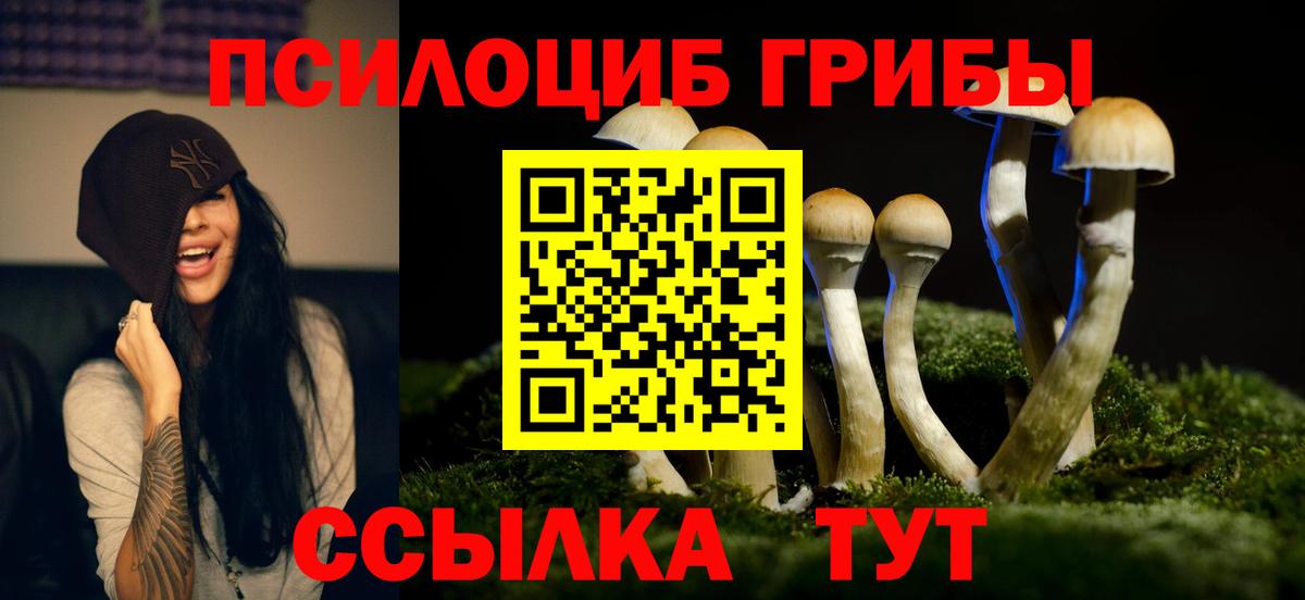 Галлюциногенные грибы Cubensis Ярославль